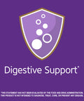 Garden of Life Dr Formulated Digestive Enzymes With Papain Bromelain & 21St Century Papaya Enzyme Chewable Tablets Tropical 100 Count