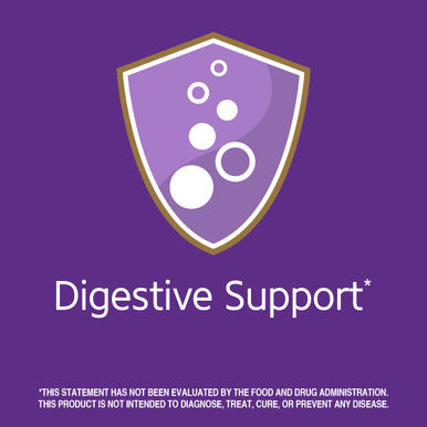 Garden of Life Dr Formulated Digestive Enzymes With Papain Bromelain & 21St Century Papaya Enzyme Chewable Tablets Tropical 100 Count