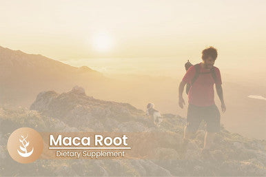 PURE ORIGINAL INGREDIENTS Maca Root, (100 Capsules) Always Pure, No Additives Or Fillers, Lab Verified