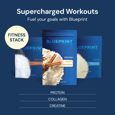 Blueprint Bryan Johnson Hemp Protein - 27G Plant Protein - Chai (15 Servings)