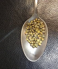 French Green Lentils 5 Pounds Petite, USDA Certified Organic, Non-GMO Bulk, Product of USA, Mulberry Lane Farms