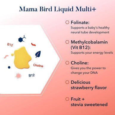 Best Nest Wellness Mama Bird Liquid Prenatal Vitamin for Women Organic Fruit Blend Vegan Methylfolate Liquid Vitamins for Women Pre Natal + Postnatal Multivitamin Breastfeeding Strawberry 16 oz