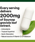 Biolore Pure Soursop Graviola Capsules 120 Count