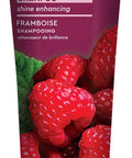 Desert Essence Red Raspberry Shampoo - 8 Fl Ounce - Gloss & Shine Enhancing - Strengthens Hair - Removes Everyday Pollutants - Vitamin A & C - Calcium - Magnesium