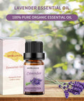 Sedbuwza 3 Pack Rosemary Eucalyptus Lavender Essential Oil Set 100% Pure Aromatherapy Mothers Day Gifts Oils for Massage, Skin and Hair Care