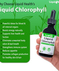 Liquidhealth Liquid Chlorophyll Drops & Children's Complete Multiple Daily Multivitamin Bundle - Internal Deodorizer Stop Bad Breath Reduce Body Odor Immune Support Overall Health - Vegan Non-GMO