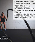 Beverly International Creatine Select + Phosphates + Beta Alanine Orange 480g