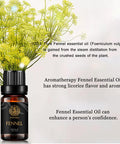 Fennel Aromatherapy Essential Oil, 100% Pure Fennel Scent Essential Oil for Diffusers, Humidifier, Therapeutic Grade Aromatherapy Fennel Scent Essential Oil Fragrance for Massage Home 0.33oz-10ml