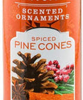 Scentsicles Spiced Pine Scented Ornaments with Hooks - 2 Bottles (12 Sticks Total)