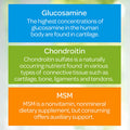 Puritan's Pride Glucosamine Chondroitin & MSM-2 Per Day Formula
