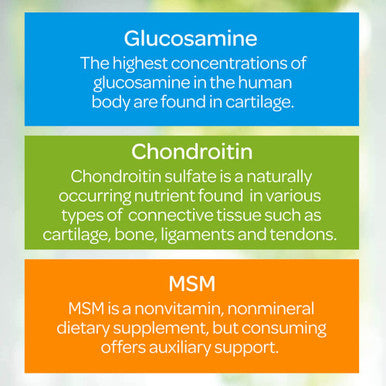 Puritan's Pride Glucosamine Chondroitin & MSM-2 Per Day Formula