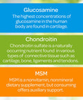 Puritan's Pride Triple Strength Glucosamine Chondroitin & Msm Joint Soother 360 Count (Pack of 2) Total 720 Count
