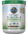 Garden of Life Raw Organic Perfect Food Green Superfood Juiced Greens Powder - Chocolate, 30 Servings (Packaging May vary) - Non-gmo, Gluten Free, Vegan Whole Food Dietary Supplement, Plus Probiotics