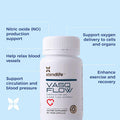 Xtendlife Vasqflow Circulation And Blood Flow Support - Nitric Oxide Supplement To Improve Nitric Oxide, Oxygen Flow, Healthy Blood Pressure & Immunity 100% Vegan, Non-Gmo (90 Count)