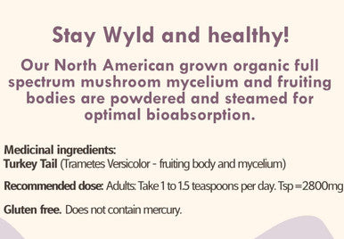 Stay Wyld Organics Turkey Tail Mushroom Vegan Powder Supplement - Immune & Gut Health Support Energy Booster - Perfect for Adult Women & Men 100 Grams