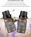 Aromatherapy Lavender Essential Oils Set, 100% Pure Eucalyptus Scent Essential Oils Set,2X10ml Therapeutic Grade Eucalyptus Aromatherapy Essential Oils Lavender Fragrance Kit for Diffuser, Humidifier