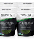 Terrasoul Superfoods Organic Wheat Grass Juice Powder 20 Ounces - USA Grown