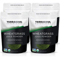 Terrasoul Superfoods Organic Wheat Grass Juice Powder 20 Ounces - USA Grown