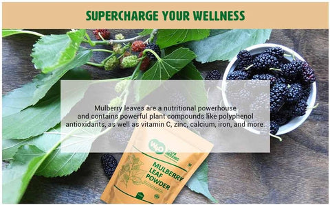 Mulberry Leaf Powder - Mulberry Leaf Extract - All-Natural Raw Herb Super Food Supplement - 1 Pound(16 Ounces)