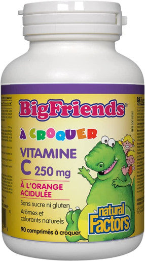 BigFriends by Natural Factors Chewable Vitamin C 250 mg Support for Healthy Bones Teeth and Cartilage Tangy Orange 90 tablets 90 servings