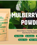 Mulberry Leaf Powder - Mulberry Leaf Extract - All-Natural Raw Herb Super Food Supplement - 1 Pound(16 Ounces)