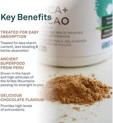 Organika Organic Maca And Cacao Powder- Gelatinized For Easy Absorption, Adaptogenic- 200G