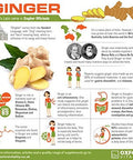 Ginger Tablets | 3200mg Root Extract Supplements for Digestive Health | by Oxford Vitality