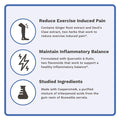 Utzy Naturals Inflavinol | Joint Support Supplement | With Ginger, Devils Claw (With Harpagosides), Boswellia Serrata (As Casperome), & Rosemary (As Aquarox) | Flavonoid Blend | 60 Capsules