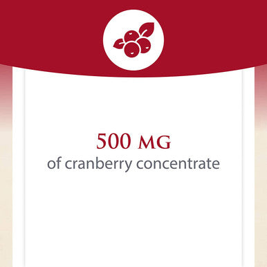 CranRich by Natural Factors Super Strength Cranberry Concentrate Antioxidant Supplement for Urinary Tract Support NonGMO 180 Capsules