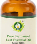 Bay Laurel Leaf Essential Oil | Laurus Nobilis | Bay Laurel Essential Oil | 100% Pure Natural | Steam Distilled | Therapeutic Grade | 30ml | 1.01oz By R V Essential