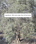 HOLIVE Olive Oil from Israel | Extra Virgin | First Cold Press & Early Harvest | Polyphenol Rich | Premium Low Acidity | Unprocessed EVOO from the Holy Land | Hand Harvest | Kosher 30.4 Fl Oz