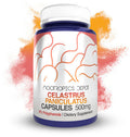 Nootropics Depot Celastrus Paniculatus Extract Capsules | 500mg | 60 Count | Minimum 8% Polyphenols | Intellect Tree
