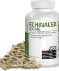 Bronson Echinacea 400mg Herbal Support - Supports Healthy Well Being & Immune System, 250 Capsules