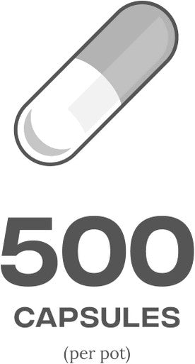 Bcaas 500 Ct