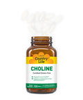 Country Life Choline 266mg