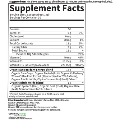 Organic Plant-Based Energy Focus: Blackberry 15.3 oz by Garden of Life Sport