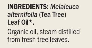 Dr. Mercola Organic Tea Tree Essential Oil