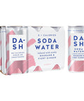 dash Soda Water with Wonky Rhubarb & Ginger (6x200ml)