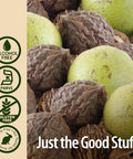 Nature's Answer Black Walnut Green Hulls Alcohol Free 1 oz