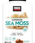Force Factor Superior Sea Moss, Premium Irish Sea Moss To Support Energy, Immunity, Gut Health, & Skin Health, Non-Gmo, Gluten , Salted Caramel Flavor, 60 Soft Chews