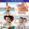 Superior Labs Pine Bark Extract Superior Circulatory Health 200mg 95 OPC 90 Cap Supports Healthy Blood Flow Antioxidant Promotes Healthy Hair Skin Free Radical Protection