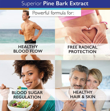 Superior Labs Pine Bark Extract Superior Circulatory Health 200mg 95 OPC 90 Cap Supports Healthy Blood Flow Antioxidant Promotes Healthy Hair Skin Free Radical Protection