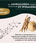 TRIBE ORGANICS Vegan Ashwagandha KSM 66 Pure Organic Root Powder Extract Ayurvedic Supplement 90 Capsules