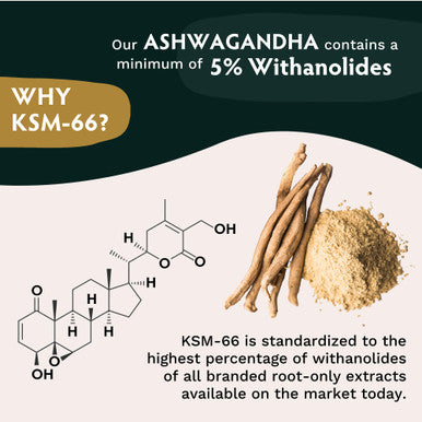 TRIBE ORGANICS Vegan Ashwagandha KSM 66 Pure Organic Root Powder Extract Ayurvedic Supplement 90 Capsules