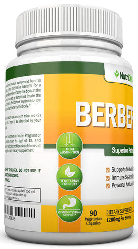 Berberine - 1200Mg - 90 Vegetarian Capsules - Pure Berberine Extract Supplement - Superior Potency to Support Immune Health