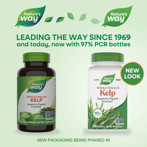 Nature'S Way Kelp - Kelp Supplement For Thyroid Function Support - Botanical Ingredient - Plant-Derived Capsule - Plant-Sourced Iodine - Vegan Gluten-Free & Dairy-Free - 180 Count (180 Servings)