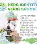 Holy Basil B120 (2pcs) Alcohol-Free Herbal Extract Tincture, Concentrated Liquid Drops Natural Holy Basil (Ocimum Tenuiflorum) Dried Herb (2x4 fl oz)