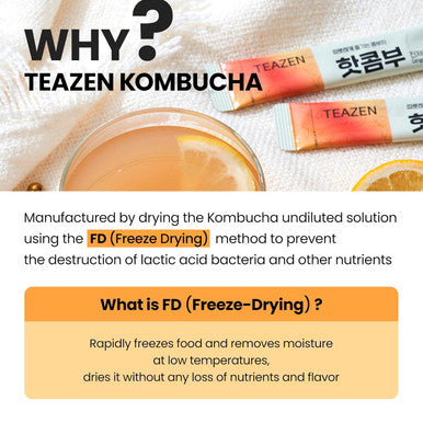 Teazen Hot Kombucha Ginger Lemon Flavor Variety Pack Ginger Lemon Drink Mix 10 Sticks & 30 Sticks (40 Sticks)