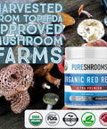 PureShrooms Organic Reishi Mushroom Capsules, 90 Ct. Immune System Booster, Anxiety Relief. Promotes Calm Moods. Ganoderma Lucidum (90 Capsules)
