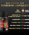 Berberine Supplement 4700mg High Potency with Ceylon Cinnamon Turmeric Cardiovascular Gastrointestinal Immune Support Berberine HCl Supplement Pills